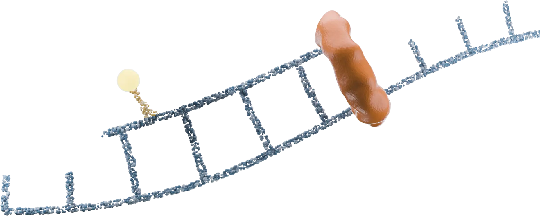 PCR amplification step in the testing process