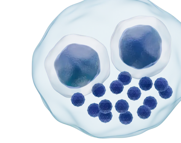 Cytomegalovirus