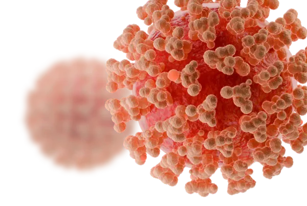Herpes simplex virus Type 1