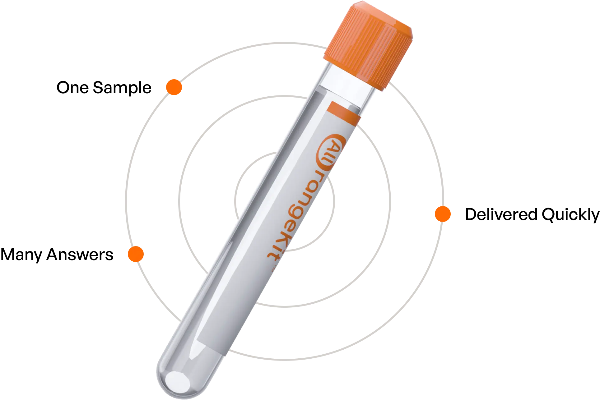 One sample, many answers, delivered quickly — AllrangeKit testing process