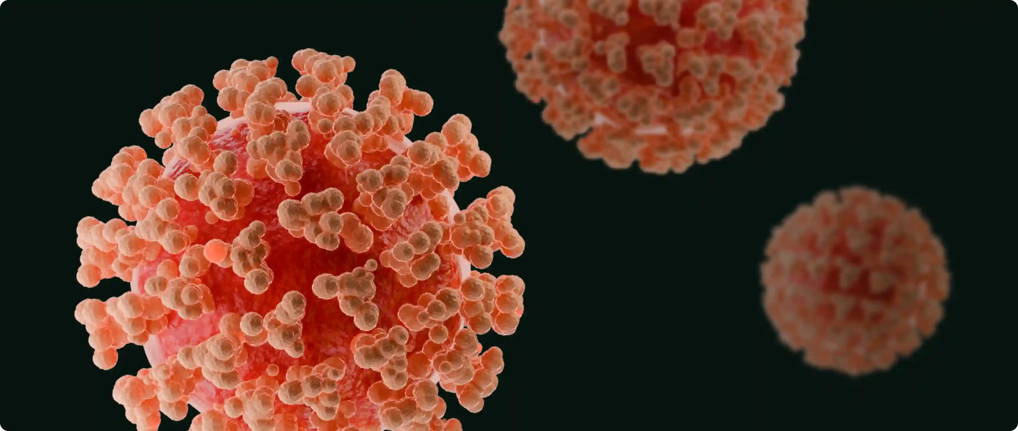 Herpes simplex virus Type 1 information