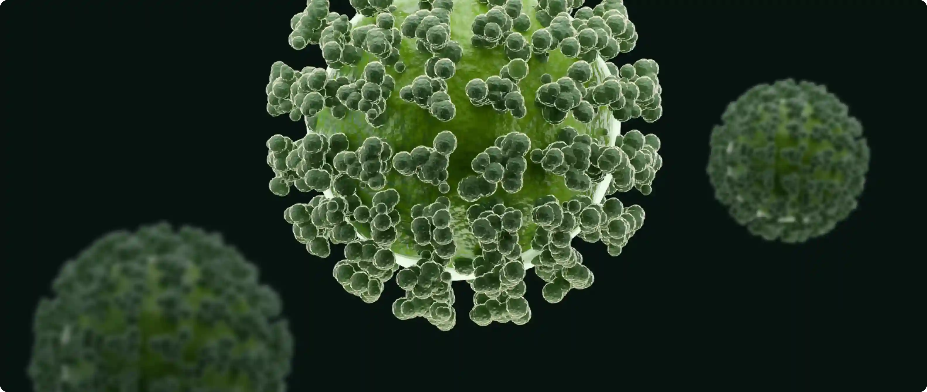 Herpes simplex virus Type 2 information